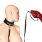 Punishment Crystal Detail Collar & 37" Leash