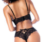 Night Butterfly Lace and Mesh 2 pc Set - Black L/XL
