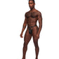 Fetish Jouster Nylon & Spandex Front Ring G-String Black S/M