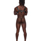 Leather Aries Single Ring Harness Black O/S