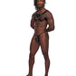 Leather Aries Single Ring Harness Black O/S