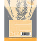 Glyde Vanilla - Pack of 4