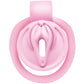 Master Series Pussification Vulva Locking Chastity Cage - Pink